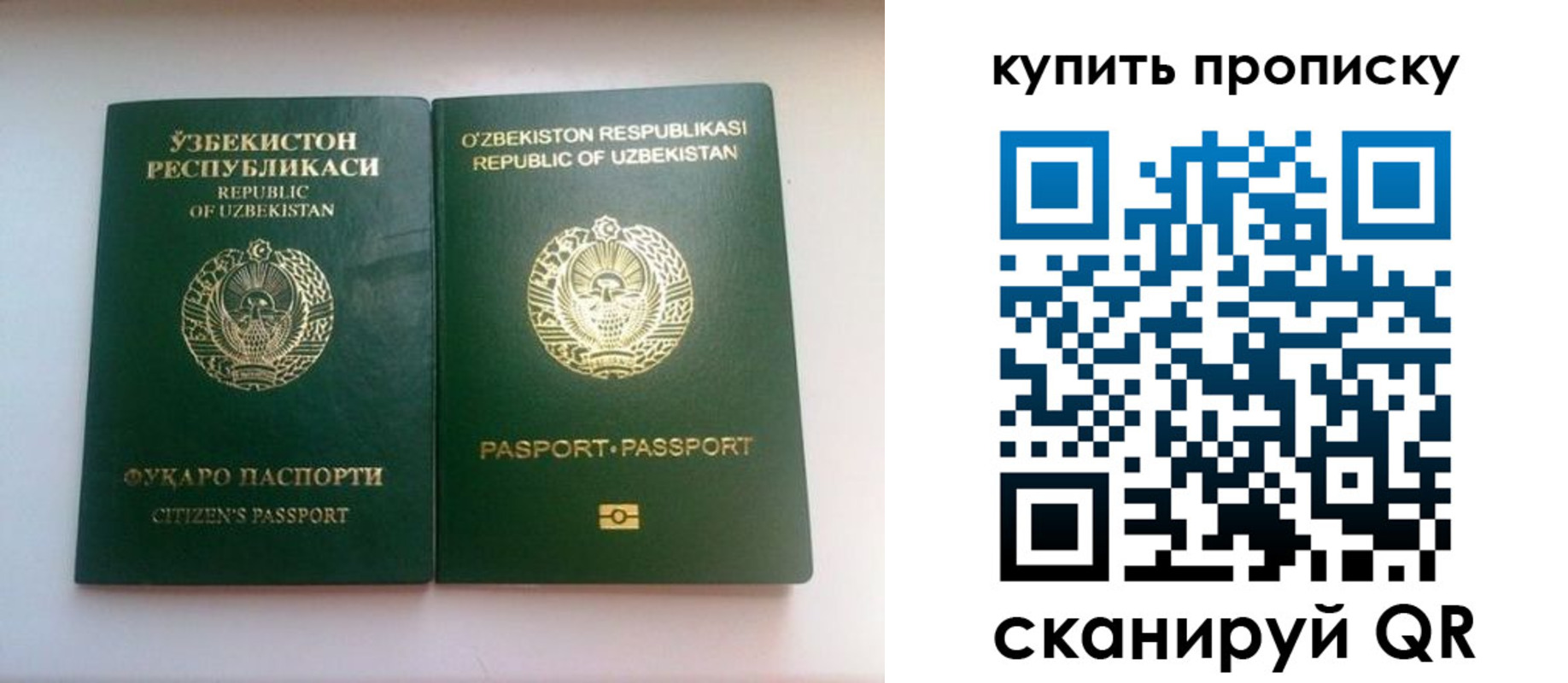 временная прописка в Щёкино